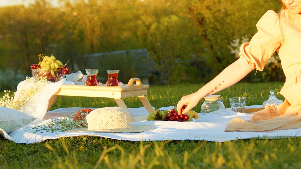 Manta de picnic con canasta en un parque